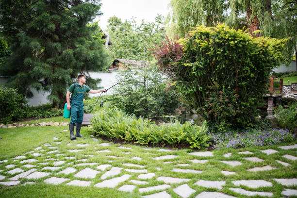 Best Tree Cabling and Bracing  in Kensington, NY